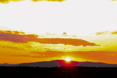 Our Land, Our Country